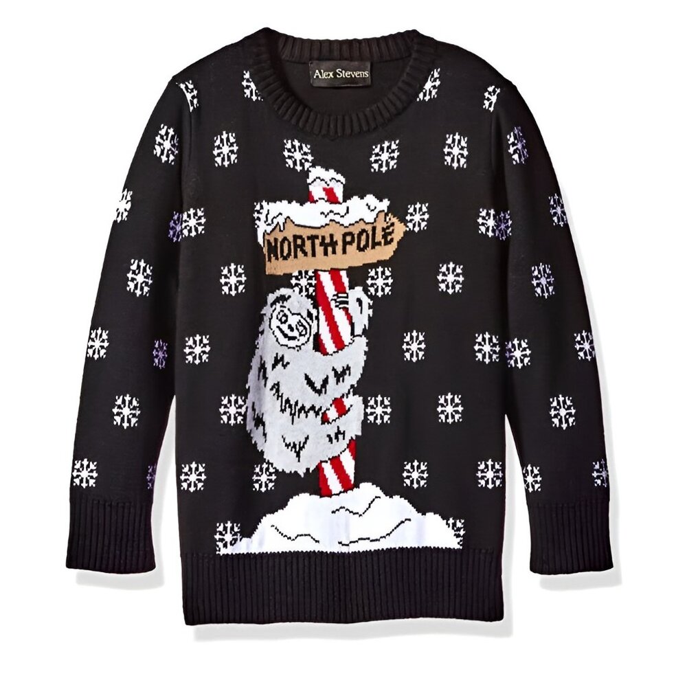5/$20 NEW 4 Boys North Pole Sloth Christmas Sweater